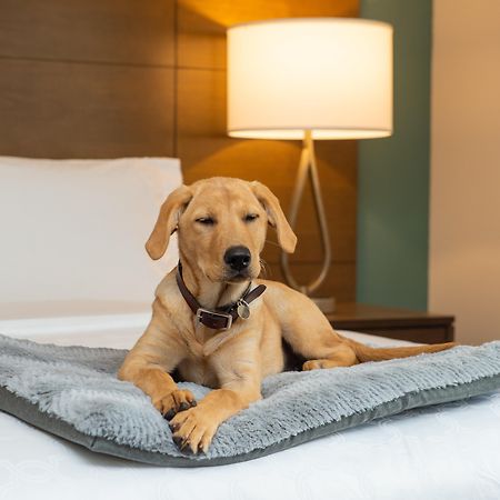 Staybridge Suites - Hillsboro North By Ihg Eksteriør billede